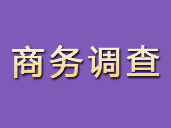 颍州商务调查